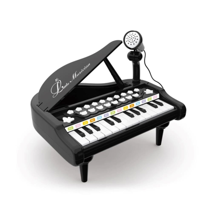 Nessiworld BAO-1505A Mikrofonlu Mini Piano 24 Tuş MP3 Çalar