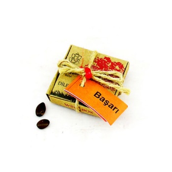 Dilek Tohumları Başarı