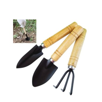 3 Parça Bitki Hobi Seti Bahçe Saksı Sukulent Bakım Çapa-Tırmık-Kürek