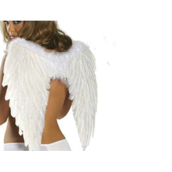 Melek Kanadı Büyük Boy Beyaz