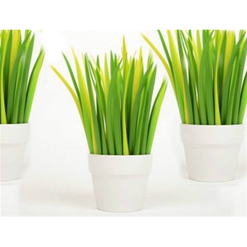 Çimen Şeklinde Tükenmez Kalem