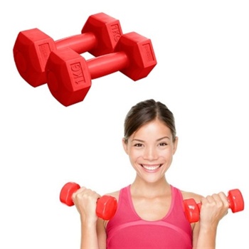 1 Kg 2 Adet Plastik Köşeli Dambıl Ağırlık Seti