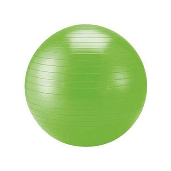 Pilates Topu 65 cm Pompa Hediyeli