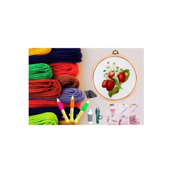 ® Punch Seti Nakış Seti Kasnaklı Kendin Yap Seti Seri 8