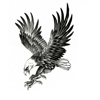 ® Kartal Geçici Dövme Şablonu Büyük Boy