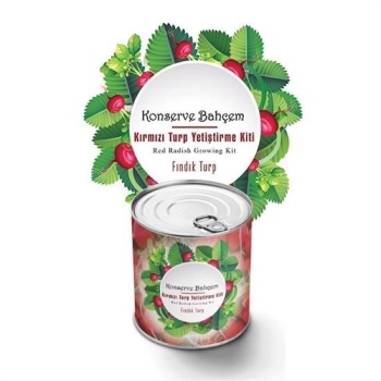 Biyomak®  Konserve Bahçem Evde Konservede Fındık Turp Yetiştirme Kiti