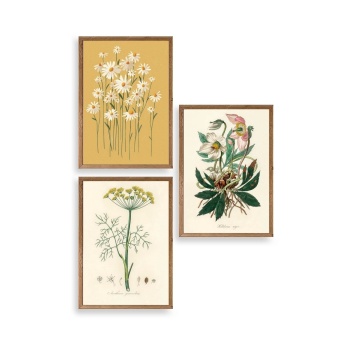 Çiçek Üçlü Ahşap Çerçeveli Tablo