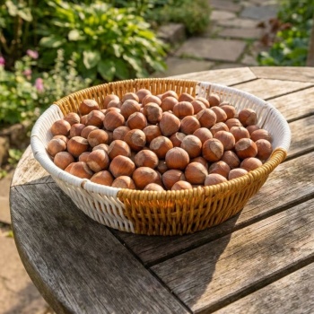 ® Yeni Ürün Yuvarlak Çift Renkli Plastik Rattan Ekmek ve Meyve SepetiÇok Amaçlı Banyo ve Mutfak DüzenleyiciYıkanabilir Tezgâh Üstü Organizer