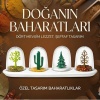 ® Yeni Ürün 4 Mevsim Temalı Tasarım Baharatlık SetiDekoratif Ağaç ve Kaktüs Figürlü Standlı Tuzluk Biberlik