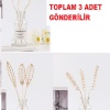 Biomak 3 Tek Adet 3 Model Aromaterapi Koku Dağıtıcı Rattan Şişe Ahşap Difüzör Çubuk (Spiral-Yaprak-Dalgalı)