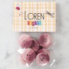 Biomak Loren Crafts 8li Düğme Gül Kurusu - 1140
