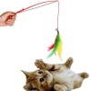 Biomak® Kedi Oltası - Peluş Toplar