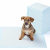 Biomak Yıkanabilir Köpek Çiş Pedi - 100 X 100 Cm