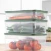 Biomak® Tupper Model - Vakumlu - Mikrodalga Buzluk Saklama Kabı 3,8LT