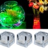 Biomak® Led Işıklı Buz Küpleri