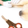 Biomak® Küçük Çelik Uçlu Kedi Köpek Evcil Hayvan Tırnak Makası Pati Bakım Aleti Ergonomik Kaymaz Sap