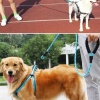 Biomak® Reflektörlü Fosforlu Köpek Gezdirme Halatı Tasma Kayışı Metal Kancalı 130 cm