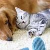 Biomak® Kedi Köpek Tüy Toplayıcı Kendini Temizleyebilen Ergonomik Saplı Evcil Hayvan Tarağı Mavi