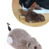 Biomak® Kurmalı Kedi Eğitim Oyuncağı Tüylü Peluş Fare Yakalama İnteraktif Sevimli Eğlenceli Oyuncak