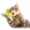 Biomak® Pet Malzemeleri Vantuzlu Fırıldak Toplu Dönen Şeffaf Depo Tasarım İnteraktif Kedi Oyuncağı