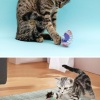 Biomak® Yaylı Metal Fareli Kafes Kedi Oyun Topu Sıçrayan Spiral Kedi Topu