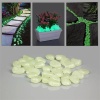 Biyomak® Fosforlu Çakıl Taşları 50 Adet