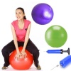 Biyomak® Pilates Topu 65 cm Pompa Hediyeli