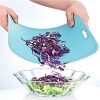 Biyomak® Bükülebilir Esnek Kesme Matı Meyve Sebze Doğrama Kesme Tahtası 20x30 cm