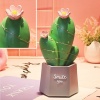 ® Yeni Ürün Led Işıklı Kaktüs Biblo Ev Dekorasyon ve Hediyelik Eşya Led Aydınlatma