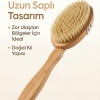 ® Yeni Ürün Saplı Doğal Vücut FırçasıSırt İçin Uzun Saplı, Kuru Fırçalama ve Masaj Etkili
