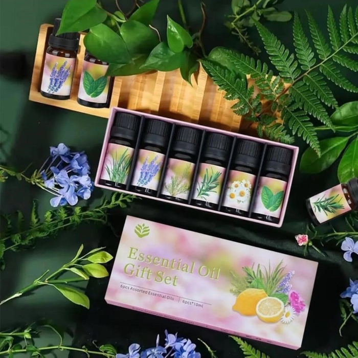 ® Yeni Ürün 6lı Ekonomi karışık SET Esansiyel Uçucu Yağı Buhardanlık Difüzör Esansı Oda Kokusu