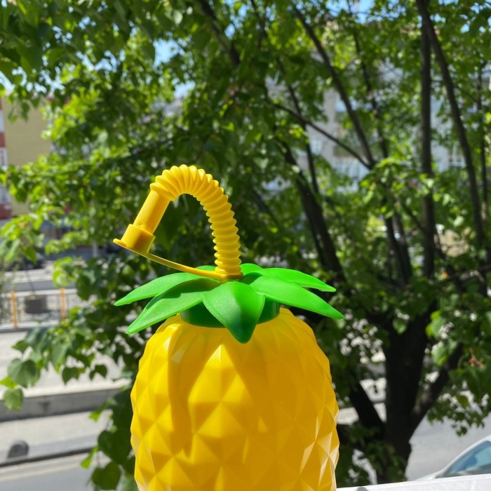 Ananas Pipetli Suluk