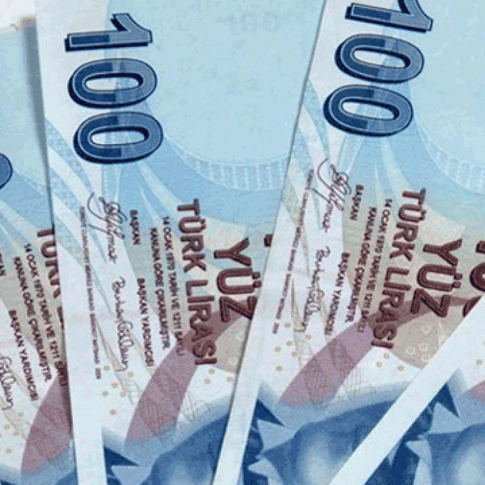 Biomak Düğün Parası - 100 Adet 100 TL