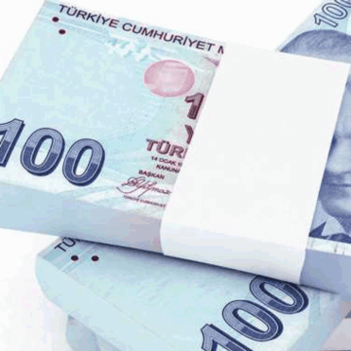 Biomak Şaka Parası - 100 Adet 100 TL