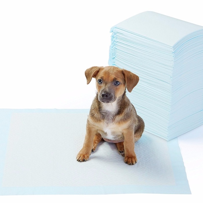 Biomak Yıkanabilir Köpek Çiş Pedi - 100 X 100 Cm