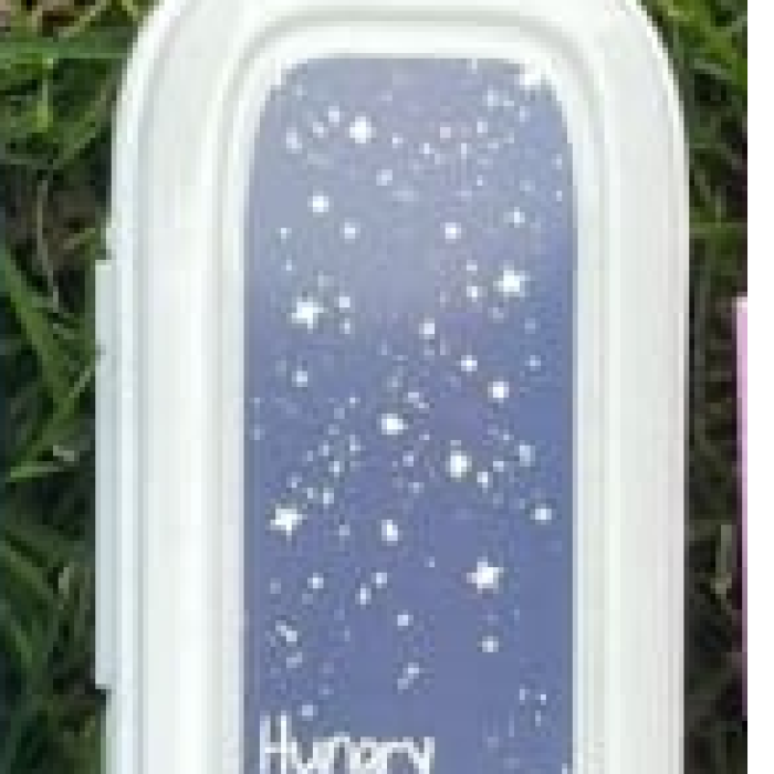 Biomak® Beyaz Multi Renkli Kapaklı Kalemlik Kutusu -Çanta İçi Saklama - Diş Fırçası - Makyaj Fırçası Kutu