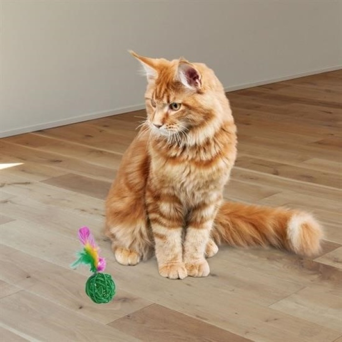 Biyomak® 2li Rattan Renkli Peluş Tüy Kedi Köpek Oyuncak Yakalama Çiğneme Çıngıraklı Top Oyuncağı