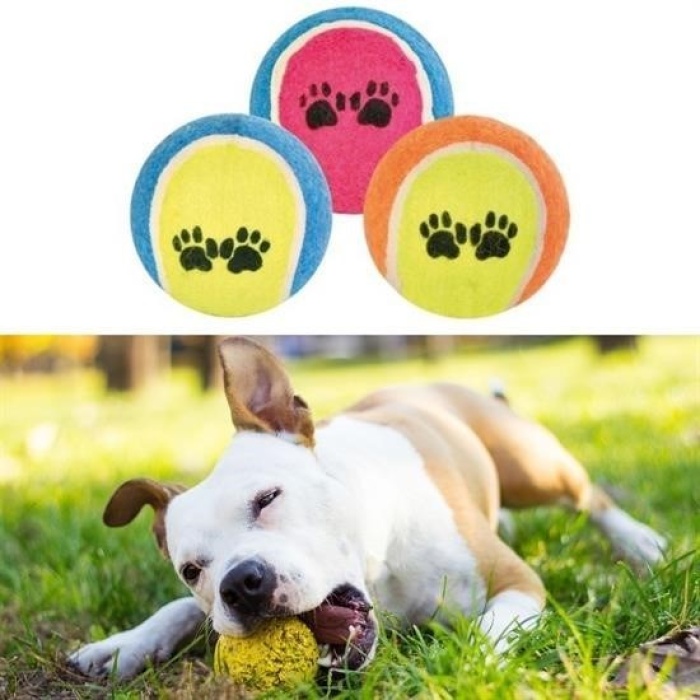 Biomak®  3lü Renkli Desenli Tenis Topu Kedi Köpek Oyuncağı
