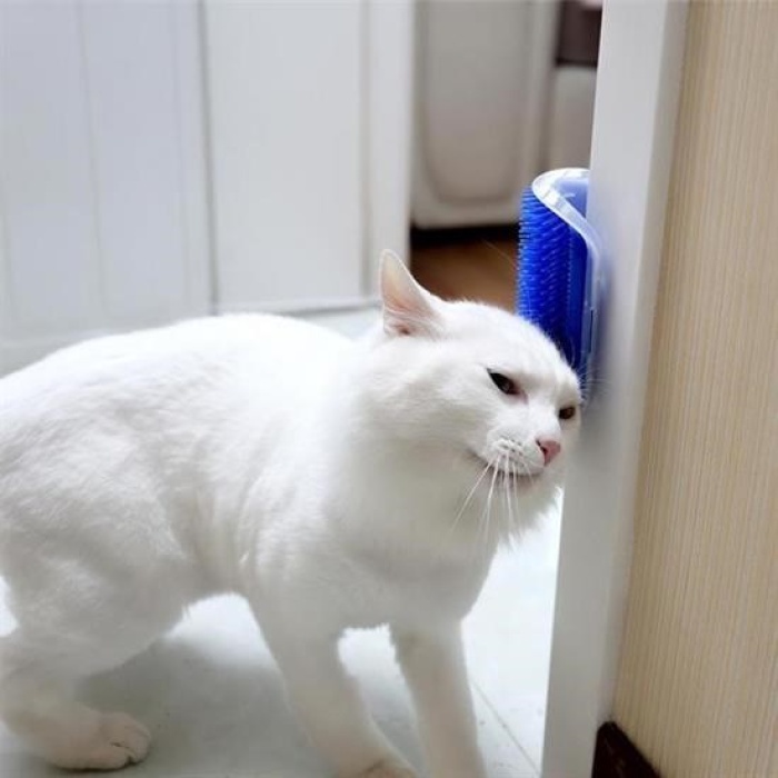Biomak®  Pratik Kedi Tüyü Kaşıma Ve Tarama Aparatı Duvara Monte Kaşıma Aleti