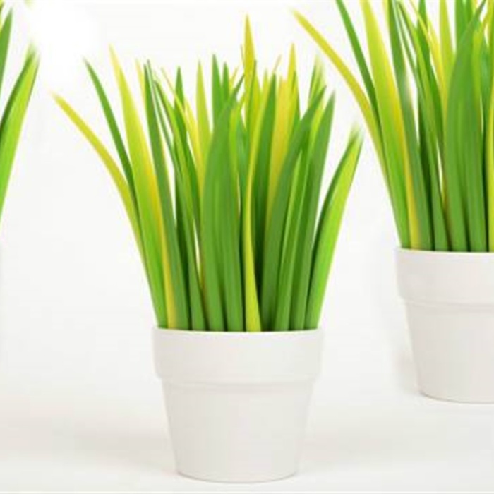 Çimen Şeklinde Tükenmez Kalem