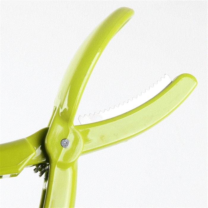 Plastik Pratik Kestane Çizici Chesnut Cutter