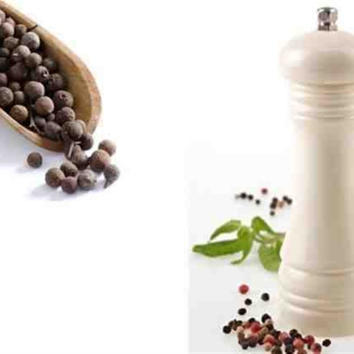 Tuz Baharat Değirmeni Akrilik