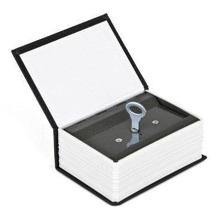 Biyomak® Kitap Görünümlü Mini Gizli Kasa Kumbara