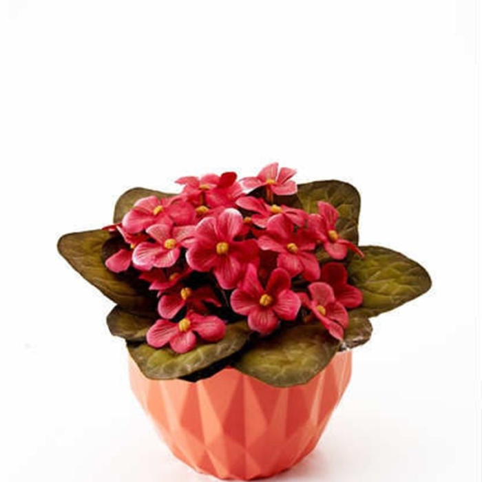 Şık Dekoratif Prizma Model Saksı Orta Boy 1 Adet