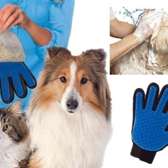 Biyomak® Evcil Hayvan Kedi Köpek Tüy Toplayıcı Eldiven