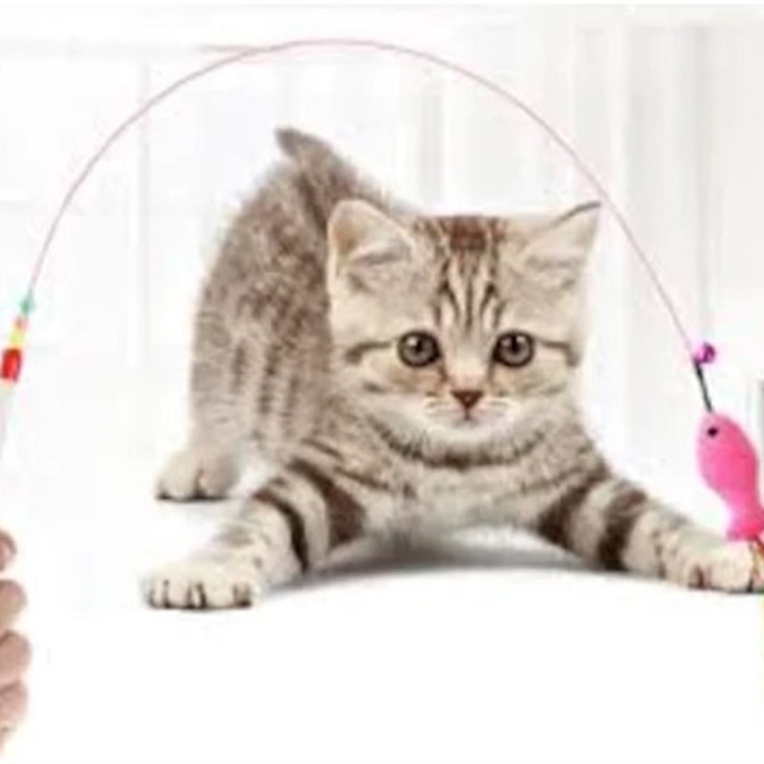 Biyomak® Kedi Oyuncak Peluş Balık Hedef Çıngırak Oyun Oltası 90 cm