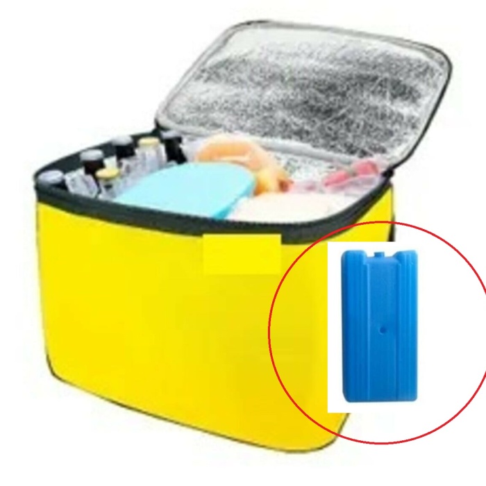 Termos Çanta Piknik Çantası Buz Aküsü Hediyeli 40LT