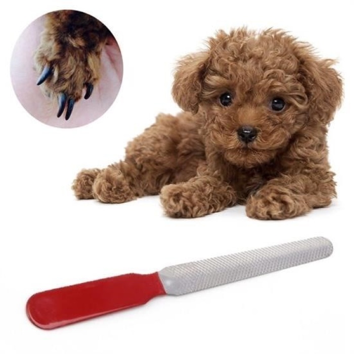 ®  Evcil Hayvan Tırnak Makası Ve Törpü Seti Manikür Pedikür Pati Bakım Aleti Kaymaz Sap