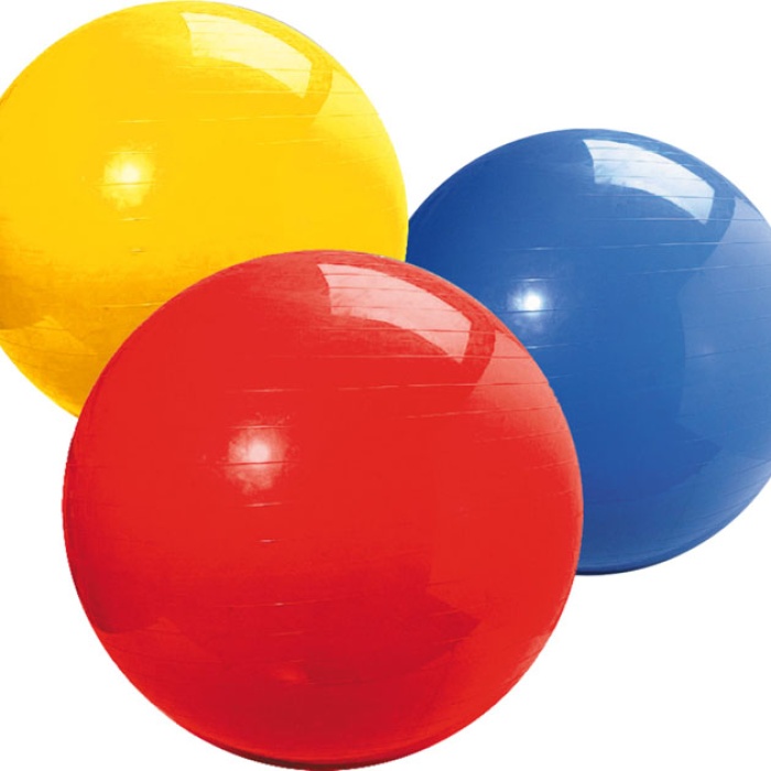 ® Pilates Topu 65 cm