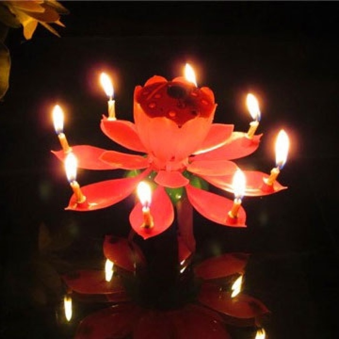 Biyomak® Müzikli Mum